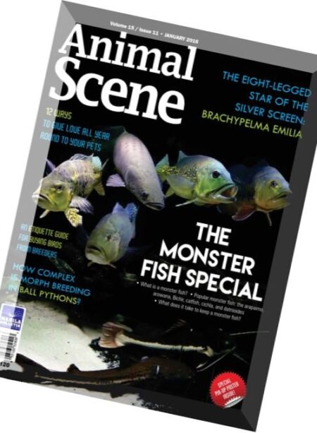Animal Scene – January 2016 Cover