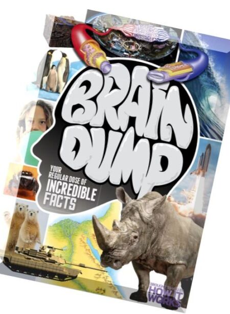 Brain Dump – Issue 32, 2016 Cover