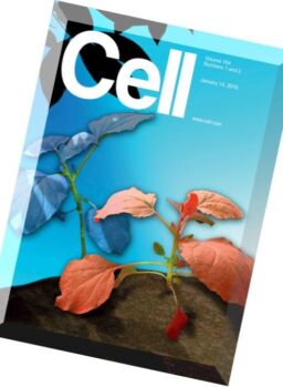 Cell – 14 January 2016