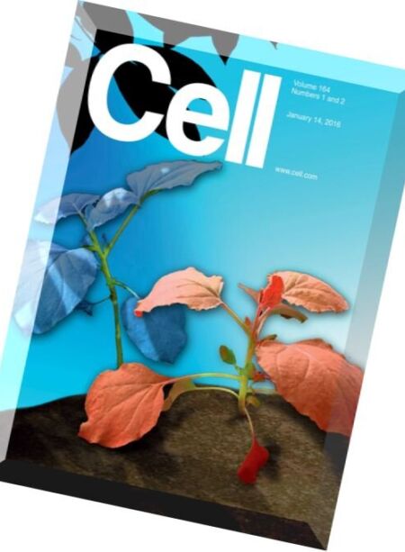 Cell – 14 January 2016 Cover