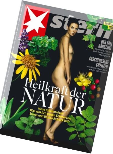 Der Stern – N 06, 04 Februar 2016 Cover