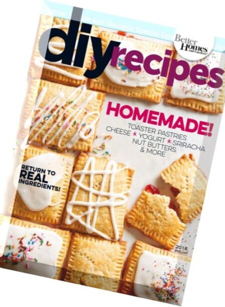 DIY Recipes – 2016 Cover