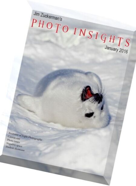 Photo insights – January 2016 Cover