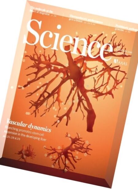 Science – 8 January 2016 Cover