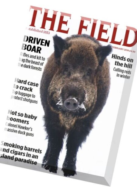 The Field – February 2016 Cover