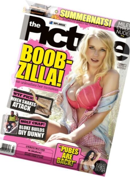 The Picture – 8 February 2016 Cover