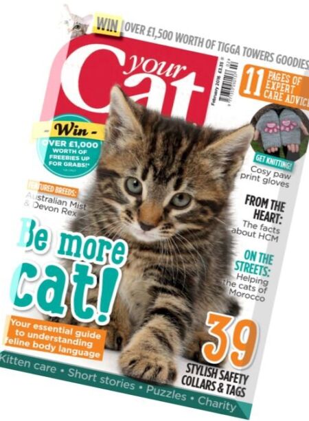 Your Cat – February 2016 Cover