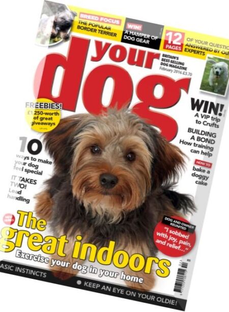 Your Dog – February 2016 Cover