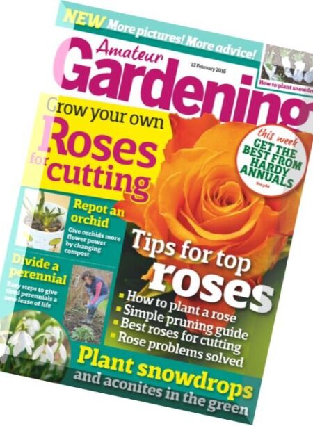 Amateur Gardening – 13 February 2016 Cover