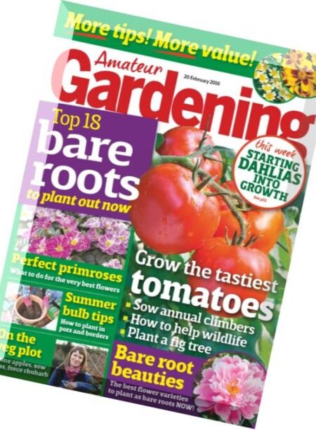 Amateur Gardening – 20 February 2016 Cover