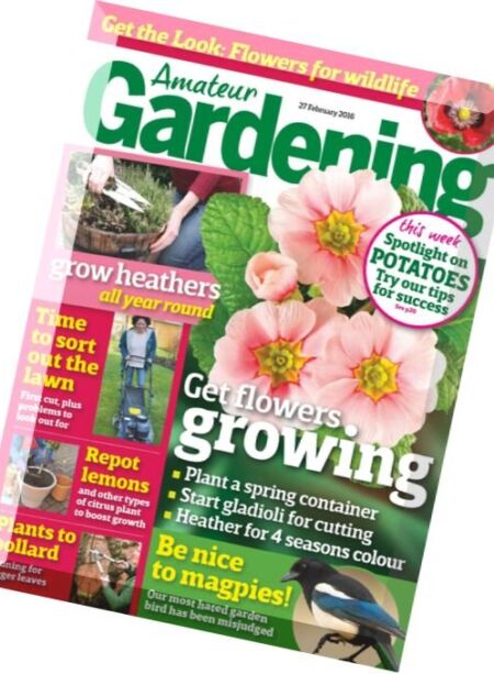 Amateur Gardening – 27 February 2016 Cover
