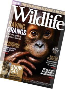 BBC Wildlife Magazine – February 2016