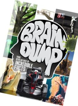 Brain Dump – Issue 33, 2016