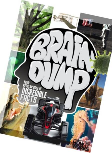 Brain Dump – Issue 33, 2016 Cover