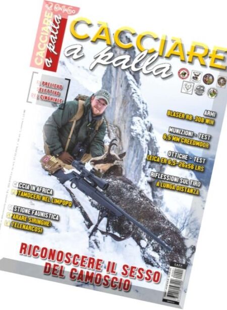 Cacciare a Palla – Gennaio 2016 Cover