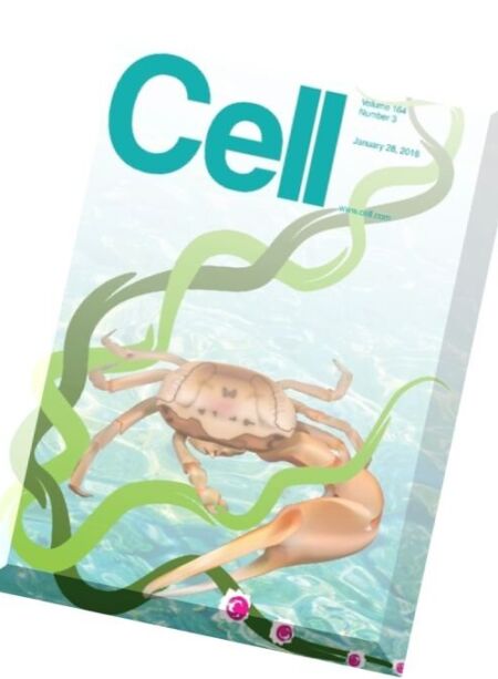 Cell – 26 January 2016 Cover