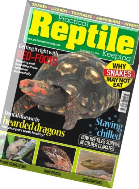 Practical Reptile Keeping – March 2016 Cover