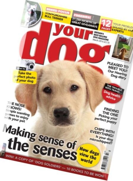 Your Dog – March 2016 Cover