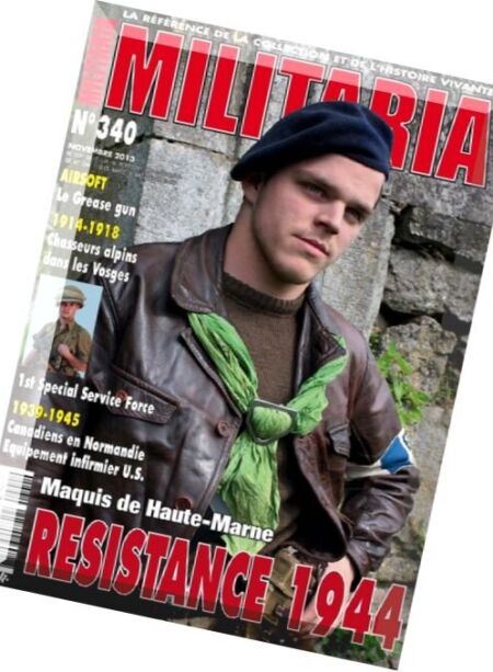 Armes Militaria Magazine – N 340, 2013-11 Cover