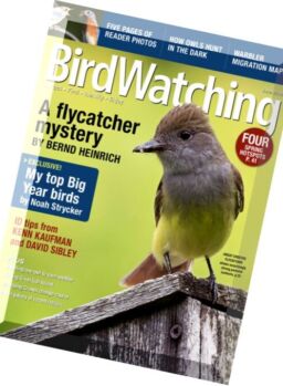 BirdWatching – June 2016