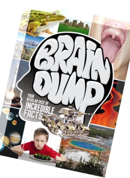 Brain Dump – Issue 34, 2016 Cover