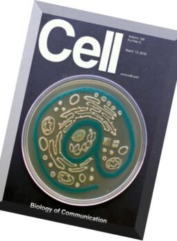 Cell – 10 March 2016