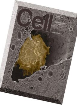 Cell – 25 February 2016