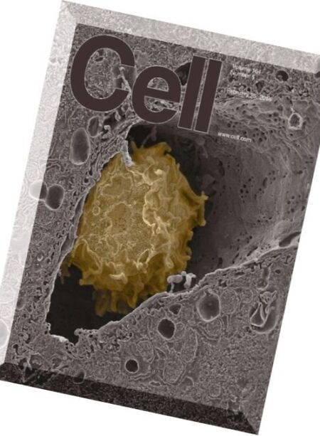 Cell – 25 February 2016 Cover