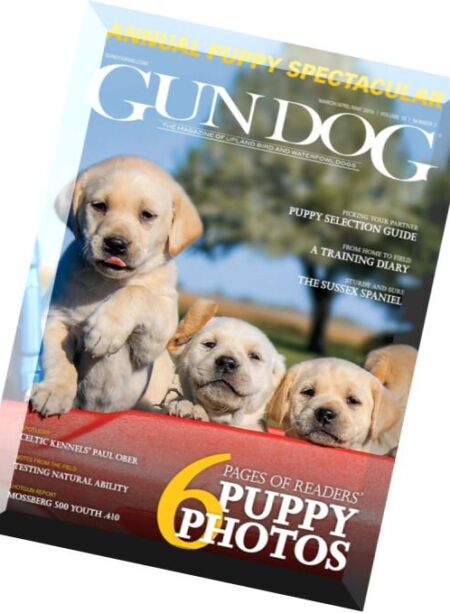 Gun Dog – March-May 2016 Cover