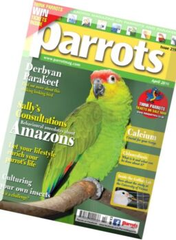 Parrots – April 2016