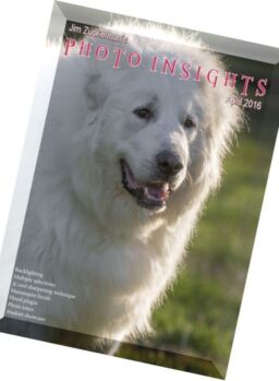 Photo Insights – April 2016