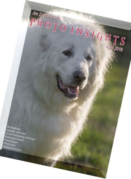 Photo Insights – April 2016 Cover