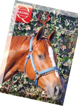 Q-Racing Journal – January 2016
