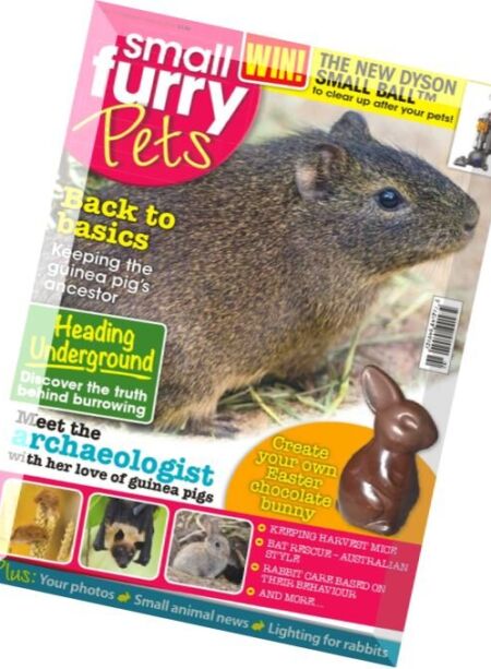 Small Furry Pets – February-March 2016 Cover