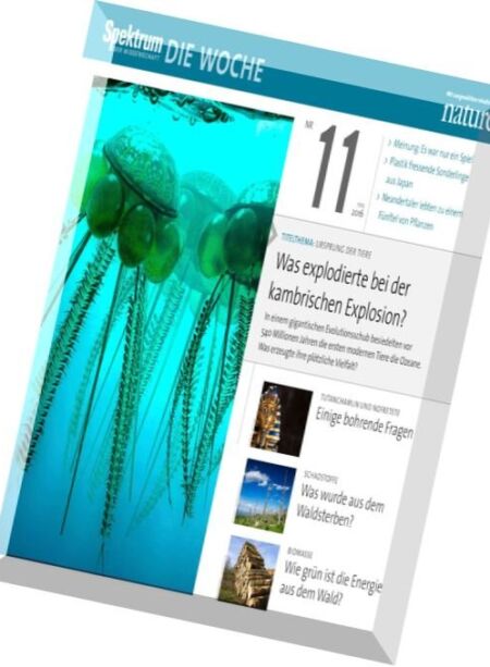 Spektrum Die Woche – Nr.11, 2016 Cover