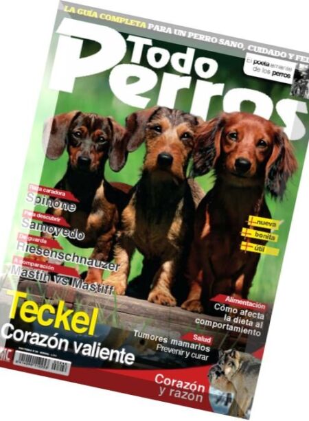 Todo Perros – Marzo 2016 Cover