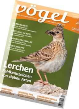 Vogel – Nr.2, 2016