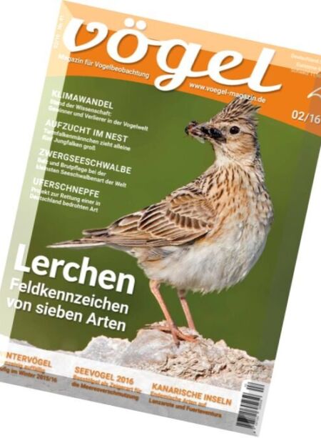 Vogel – Nr.2, 2016 Cover