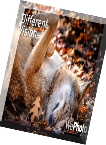 WePhoto – Animals, Volume 1 2016 Cover