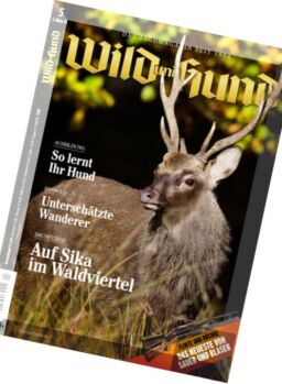 Wild und Hund – 3 Marz 2016