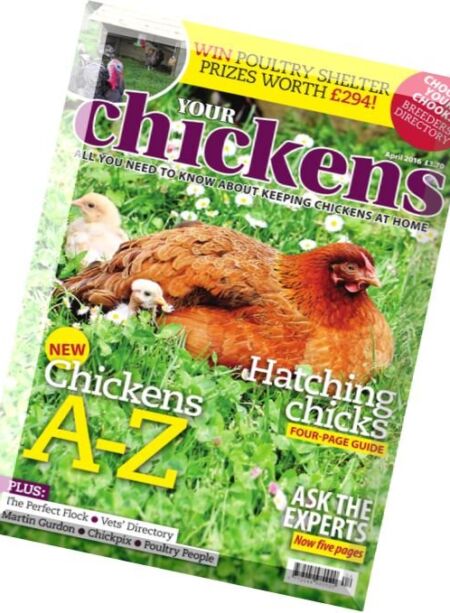 Your Chickens – April 2016 Cover