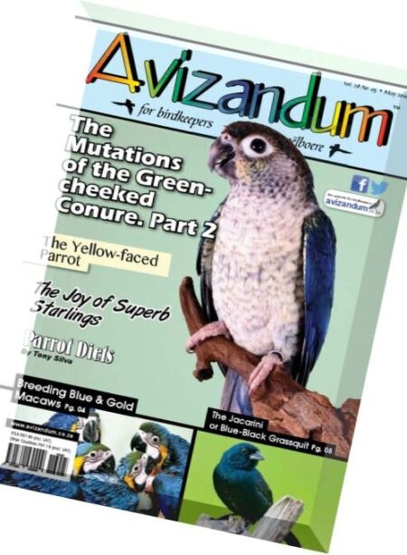 Avizandum – May 2016 Cover