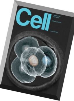 Cell – 24 March 2016