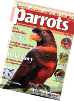 Parrots – May 2016