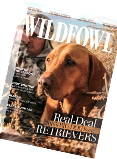 WildFowl – April-May 2016 Cover