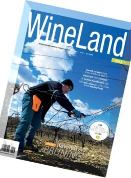 Wineland South Africa – May 2016