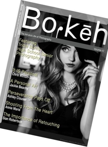 Bokeh – Vol. 42, 2016 Cover