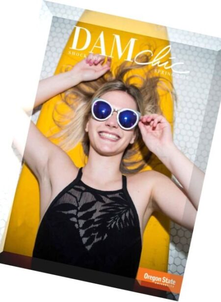 DAMchic Magazine – Spring 2016 Cover