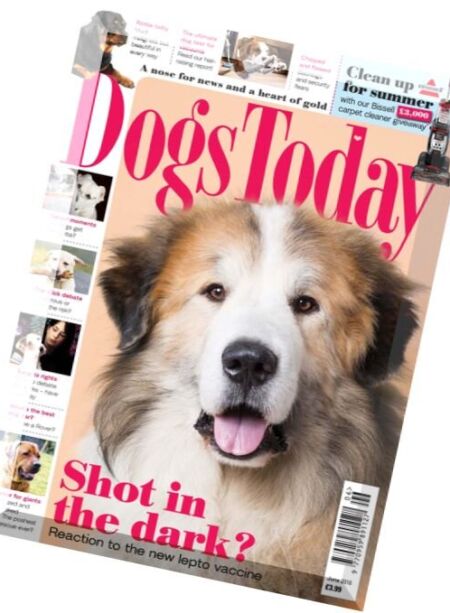 Dogs Today – June 2016 Cover
