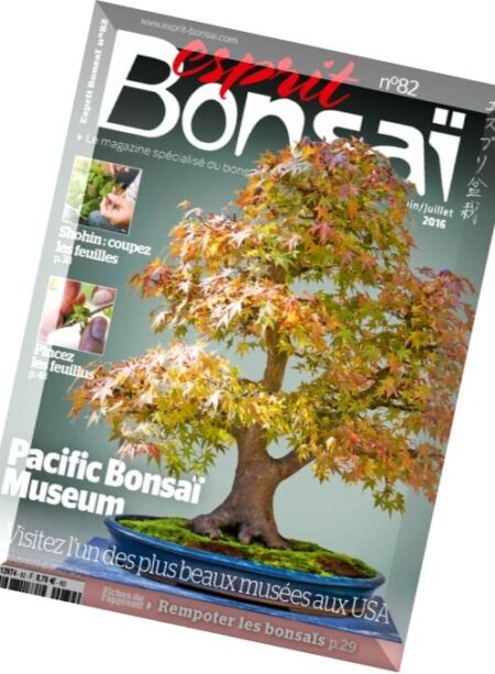 Esprit Bonsai – Juin-Juillet 2016 Cover